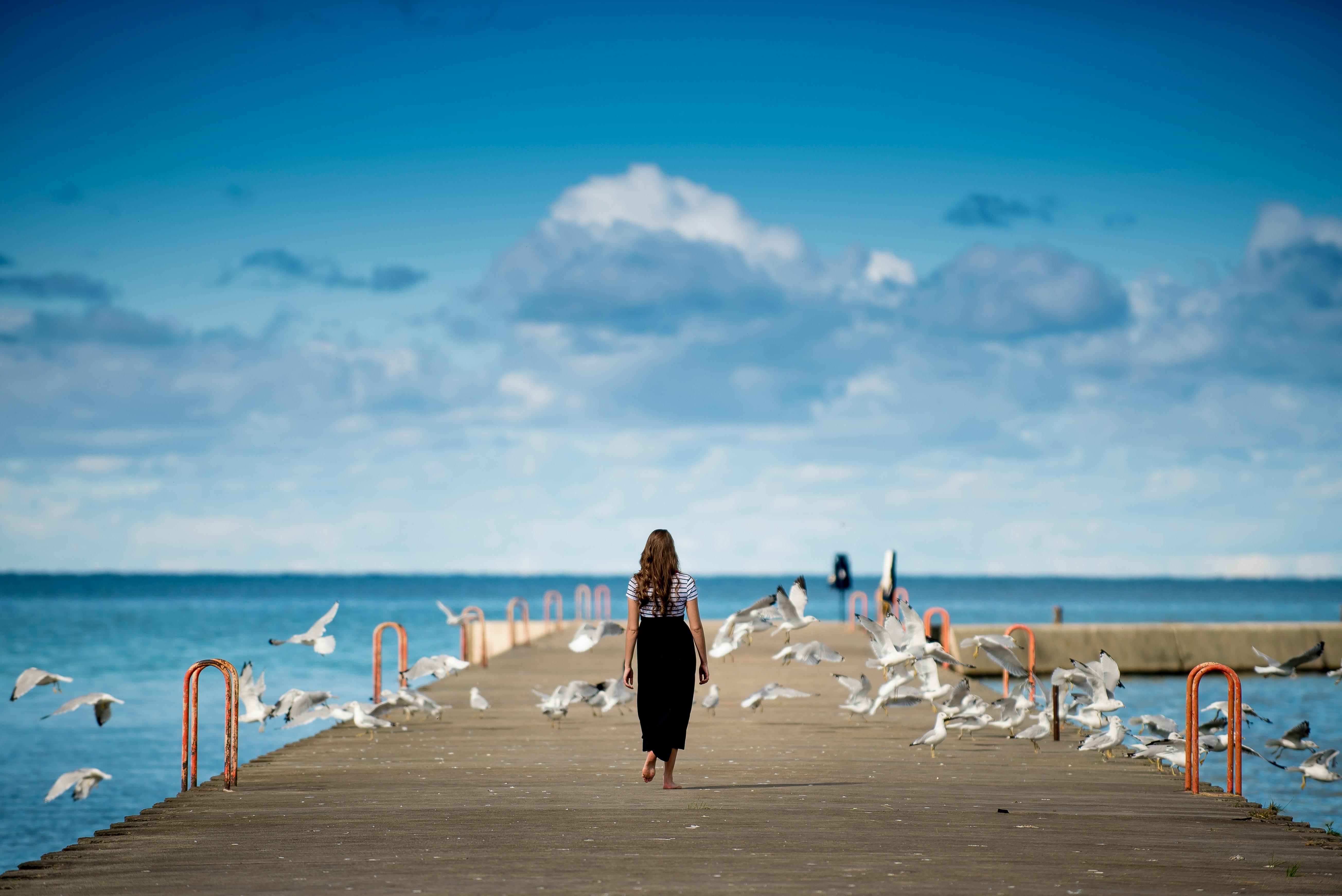 woman standing on a boardwalk surrounded by birds